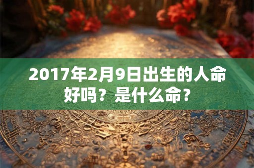 2017年2月9日出生的人命好吗？是什么命？