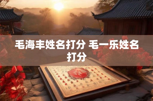 毛海丰姓名打分 毛一乐姓名打分