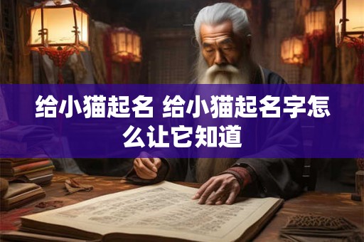 给小猫起名 给小猫起名字怎么让它知道