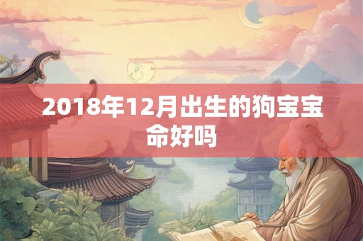 2018年12月出生的狗宝宝命好吗