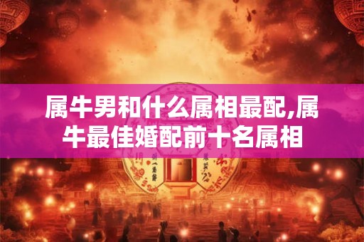 属牛男和什么属相最配,属牛最佳婚配前十名属相