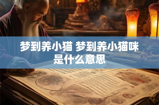 梦到养小猫 梦到养小猫咪是什么意思