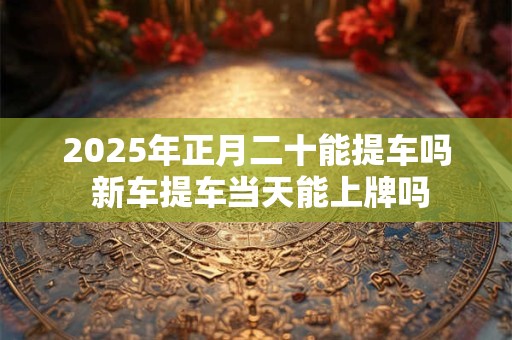 2026年正月二十能提车吗 新车提车当天能上牌吗