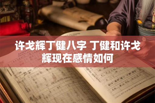 许戈辉丁健八字 丁健和许戈辉现在感情如何