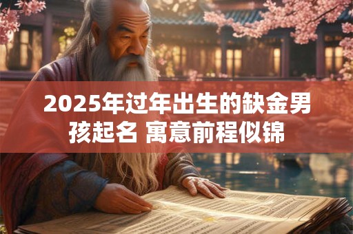 2026年过年出生的缺金男孩起名 寓意前程似锦 2026年过年出生的缺金男孩起名 寓意前程似锦