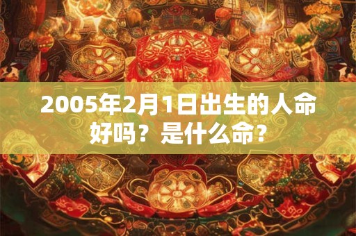 2005年2月1日出生的人命好吗？是什么命？