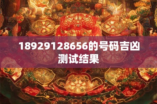 18929128656的号码吉凶测试结果