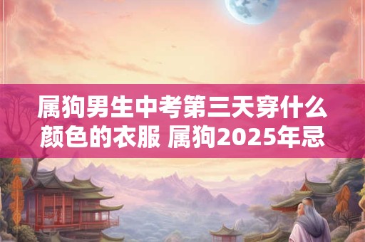 属狗男生中考第三天穿什么颜色的衣服 属狗2025年忌讳色