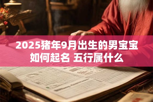 2025猪年9月出生的男宝宝如何起名 五行属什么 2025猪年9月出生的男宝宝如何起名 五行属什么