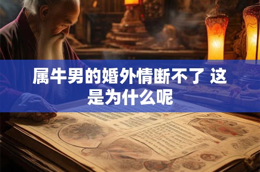 属牛男的婚外情断不了 这是为什么呢
