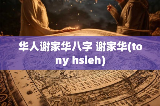 华人谢家华八字 谢家华(tony hsieh)