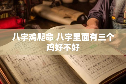 八字鸡爬命 八字里面有三个鸡好不好