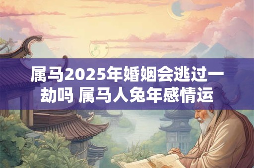 属马2025年婚姻会逃过一劫吗 属马人兔年感情运