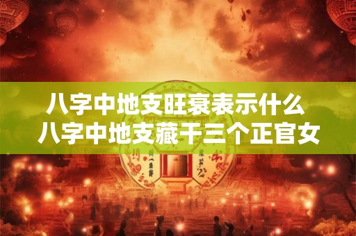 八字中地支旺衰表示什么 八字中地支藏干三个正官女命