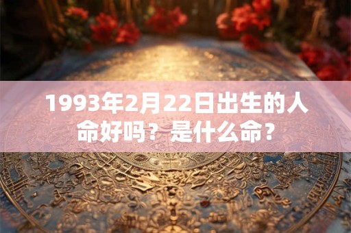1993年2月22日出生的人命好吗？是什么命？