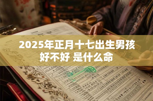 2025年正月十七出生男孩好不好 是什么命