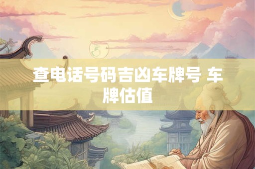 查电话号码吉凶车牌号 车牌估值