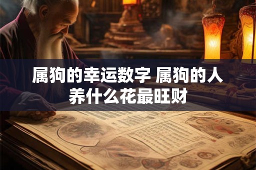 属狗的幸运数字 属狗的人养什么花最旺财