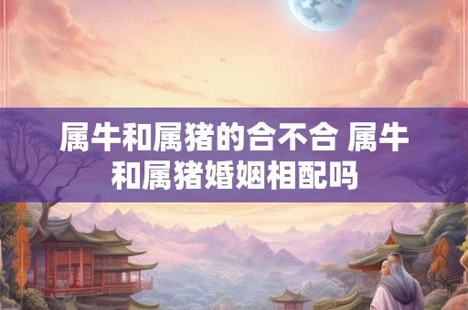 属牛和属猪的合不合 属牛和属猪婚姻相配吗