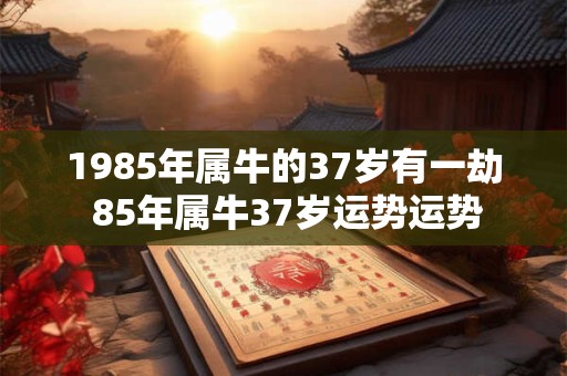 1985年属牛的37岁有一劫 85年属牛37岁运势运势