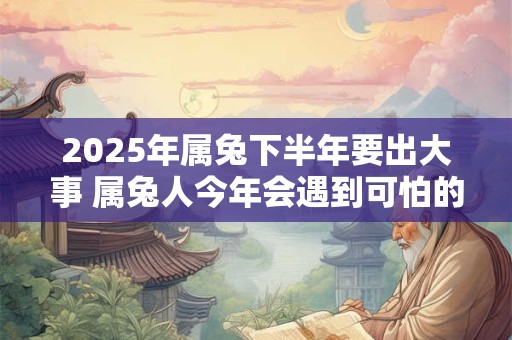 2025年属兔下半年要出大事 属兔人今年会遇到可怕的事情吗