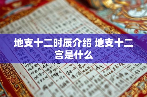 地支十二时辰介绍 地支十二宫是什么