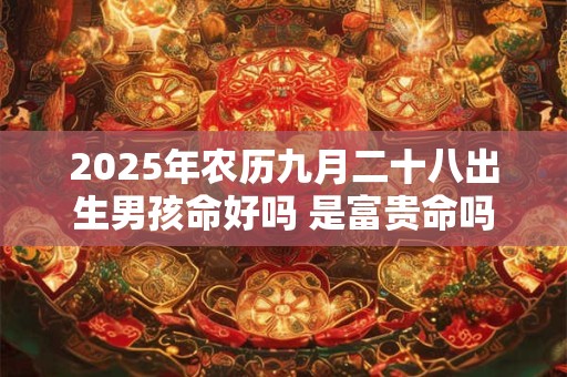 2025年农历九月二十八出生男孩命好吗 是富贵命吗 2025年农历九月二十八出生男孩命好吗 是富贵命吗
