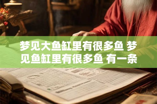 梦见大鱼缸里有很多鱼 梦见鱼缸里有很多鱼 有一条很丑很凶