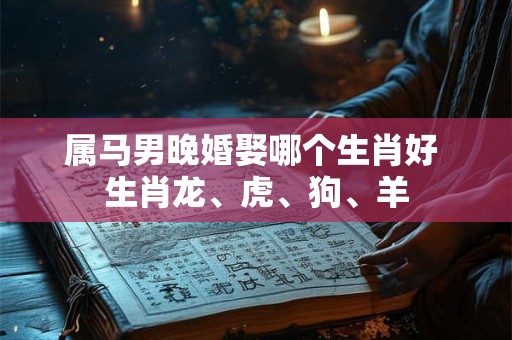 属马男晚婚娶哪个生肖好 生肖龙、虎、狗、羊