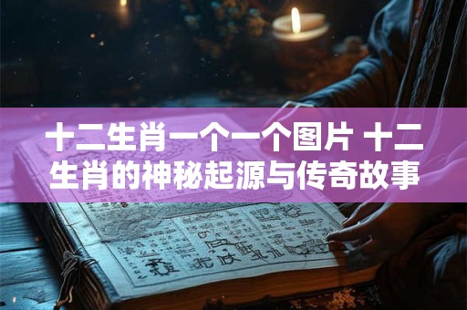 十二生肖一个一个图片 十二生肖的神秘起源与传奇故事 十二生肖一个一个图片 十二生肖的神秘起源与传奇故事