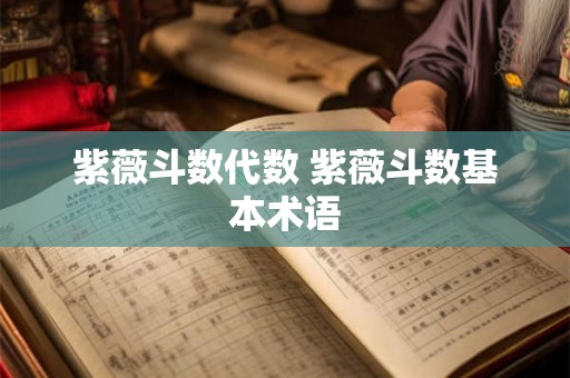 紫薇斗数代数 紫薇斗数基本术语