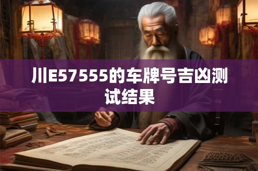 川E57555的车牌号吉凶测试结果