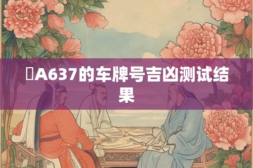 粵A637的车牌号吉凶测试结果