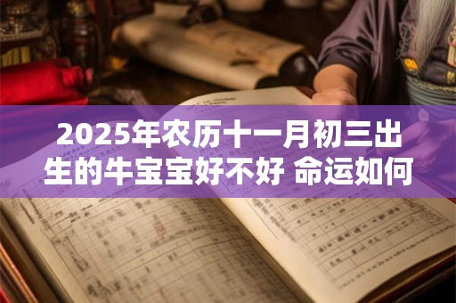 2025年农历十一月初三出生的牛宝宝好不好 命运如何