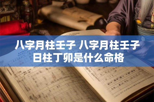 八字月柱壬子 八字月柱壬子 日柱丁卯是什么命格