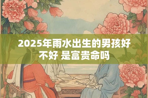 2025年雨水出生的男孩好不好 是富贵命吗