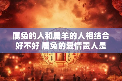 属兔的人和属羊的人相结合好不好 属兔的爱情贵人是谁