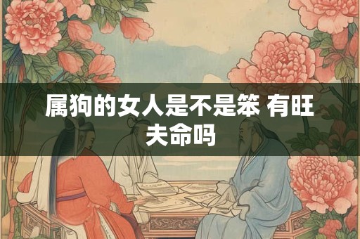 属狗的女人是不是笨 有旺夫命吗