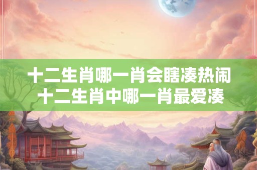 十二生肖哪一肖会瞎凑热闹 十二生肖中哪一肖最爱凑热闹 十二生肖哪一肖会瞎凑热闹 十二生肖中哪一肖最爱凑热闹