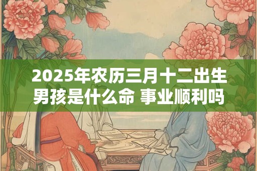 2025年农历三月十二出生男孩是什么命 事业顺利吗