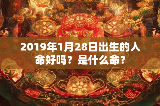 2019年1月28日出生的人命好吗？是什么命？