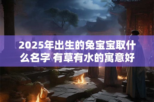 2025年出生的兔宝宝取什么名字 有草有水的寓意好的名字