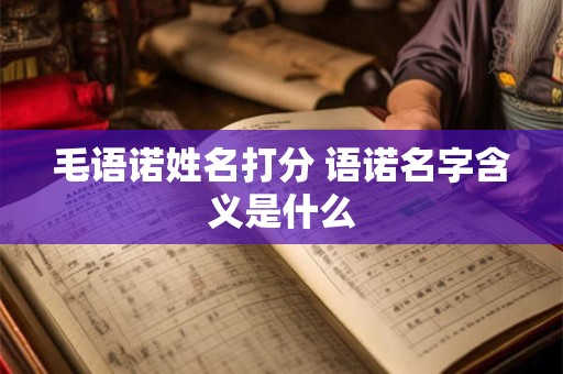 毛语诺姓名打分 语诺名字含义是什么