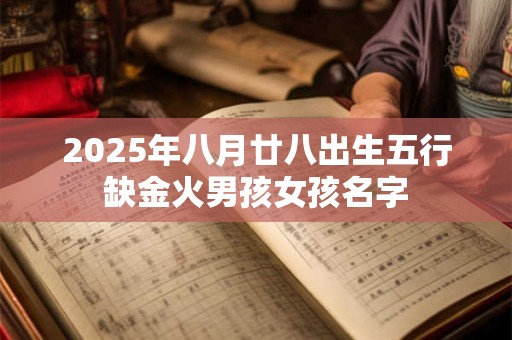 2025年八月廿八出生五行缺金火男孩女孩名字