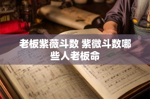 老板紫薇斗数 紫微斗数哪些人老板命