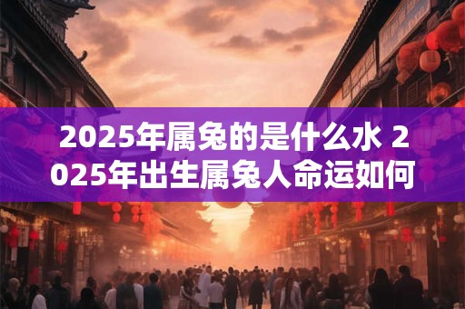 2025年属兔的是什么水 2025年出生属兔人命运如何