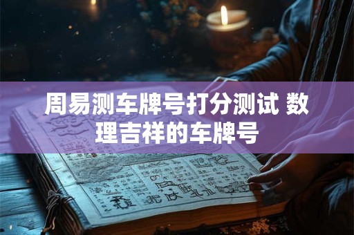 周易测车牌号打分测试 数理吉祥的车牌号