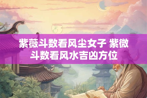 紫薇斗数看风尘女子 紫微斗数看风水吉凶方位
