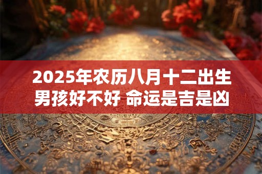 2025年农历八月十二出生男孩好不好 命运是吉是凶