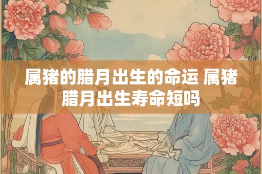 属猪的腊月出生的命运 属猪腊月出生寿命短吗